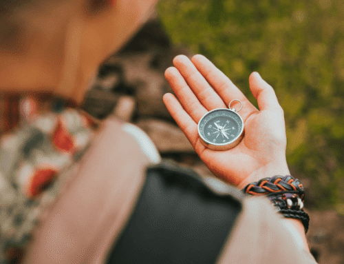 IL CUORE COME BUSSOLA EMOTIVA